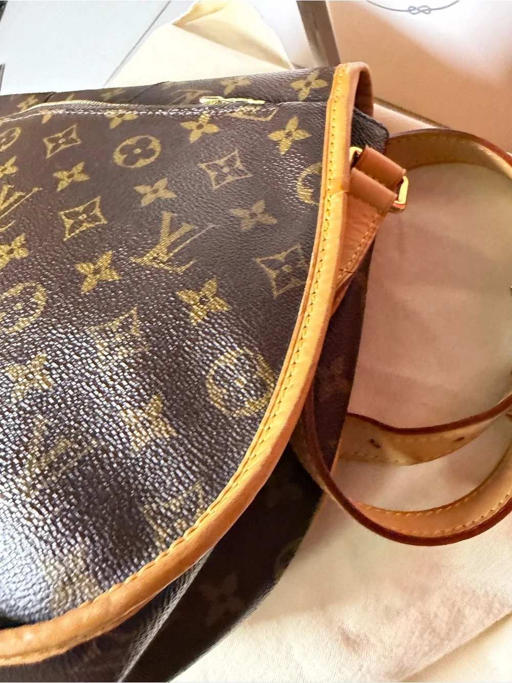 Louis Vuitton Menilmontant MM Monogram Canvas Crossbody Bag |